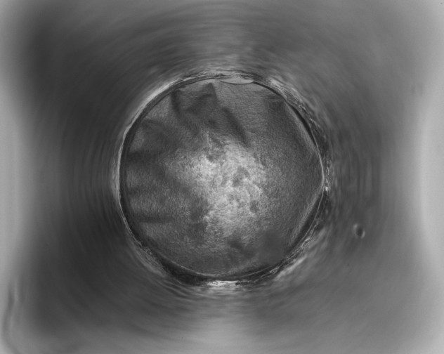 X0000096950052200802221330