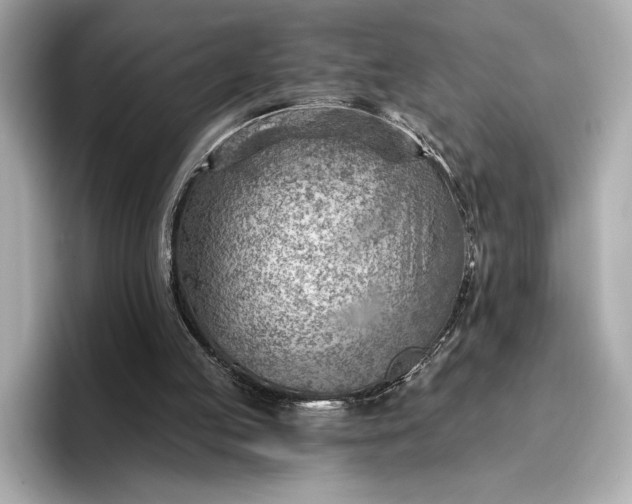 X0000096950053200802221330