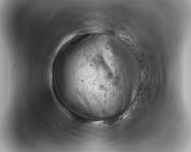 X0000096950054200802221330