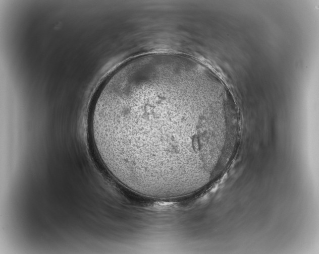 X0000096950055200802221330
