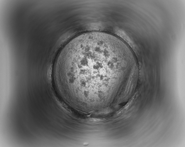 X0000096950058200802221330