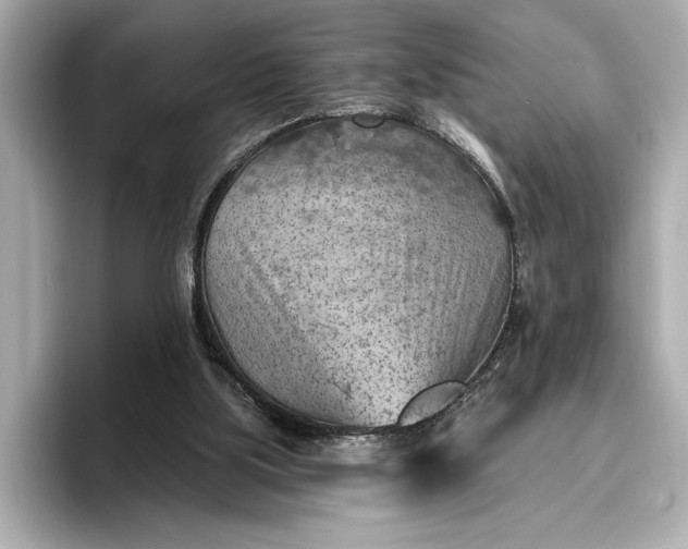 X0000096950059200802221330