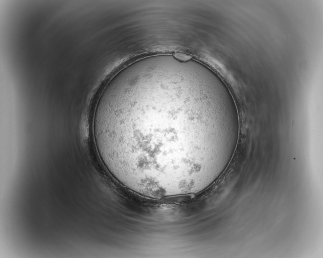 X0000096950060200802221330