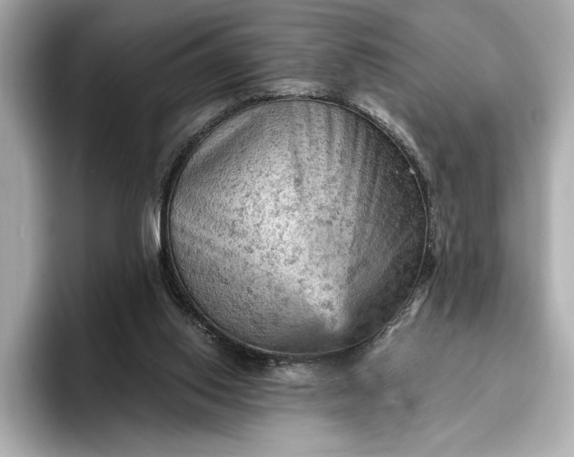 X0000096950062200802221330