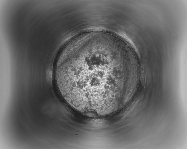 X0000096950063200802221330