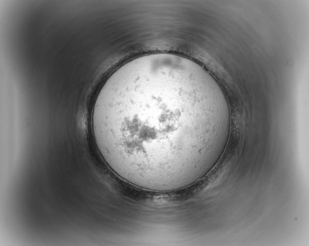 X0000096950064200802221330