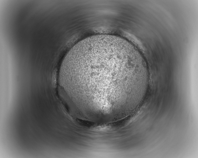 X0000096950065200802221330