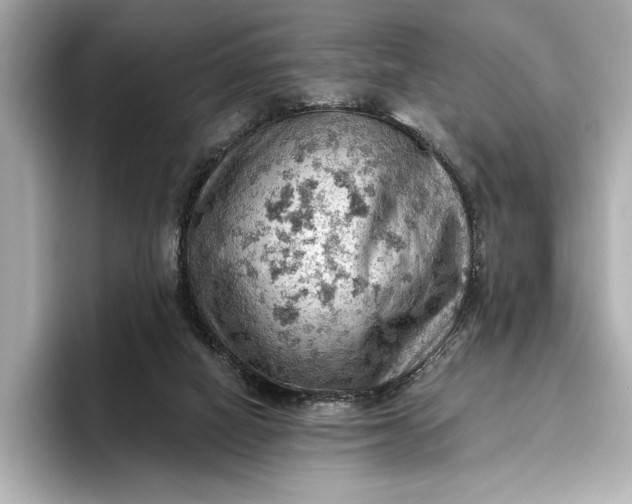 X0000096950066200802221330