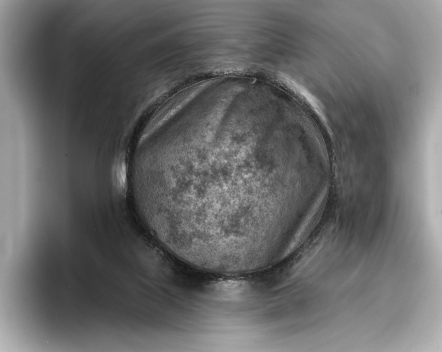 X0000096950067200802221330
