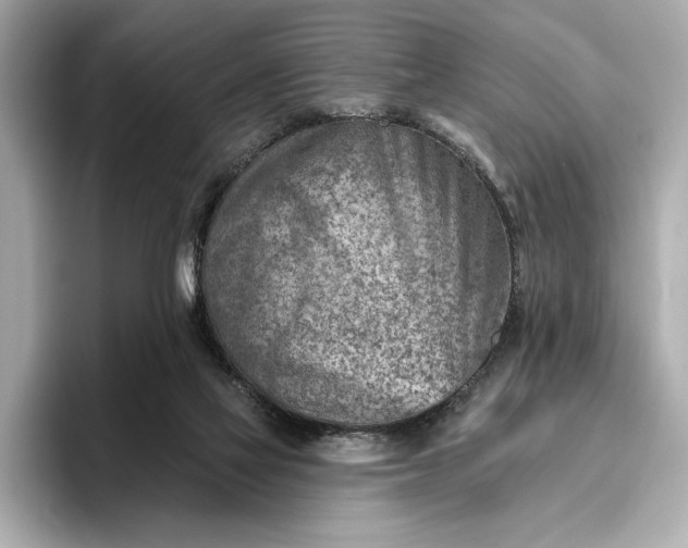 X0000096950069200802221330
