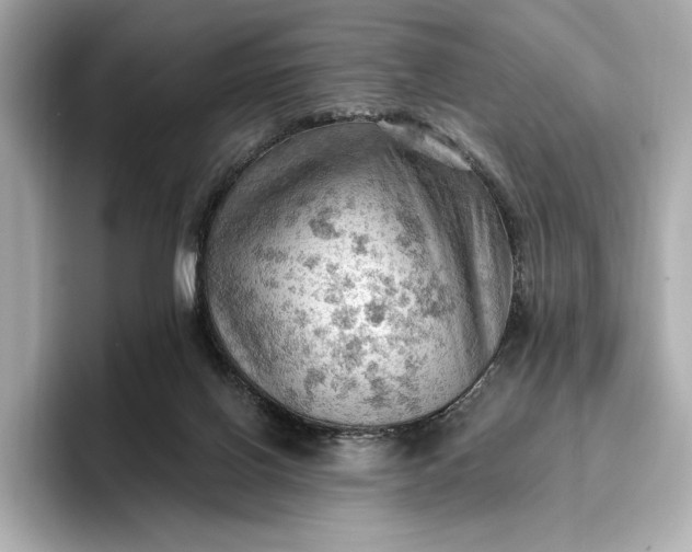 X0000096950070200802221330