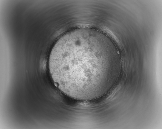 X0000096950071200802221330