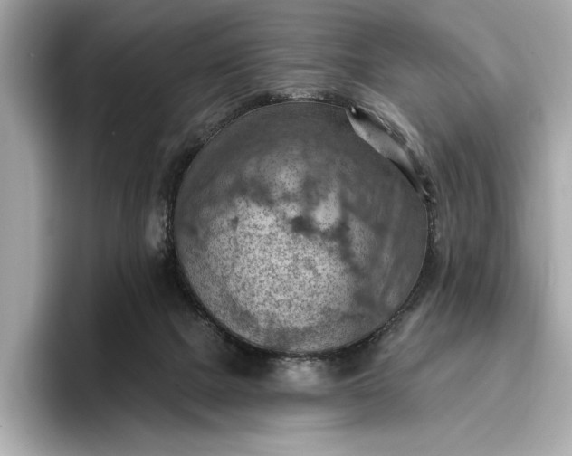 X0000096950073200802221330