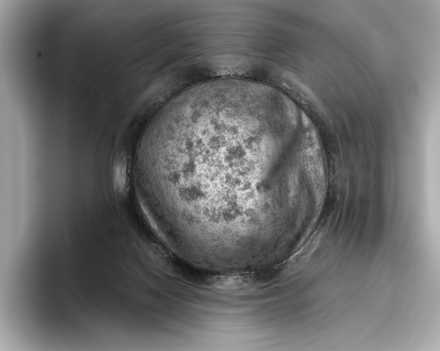 X0000096950074200802221330