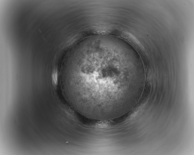 X0000096950076200802221330