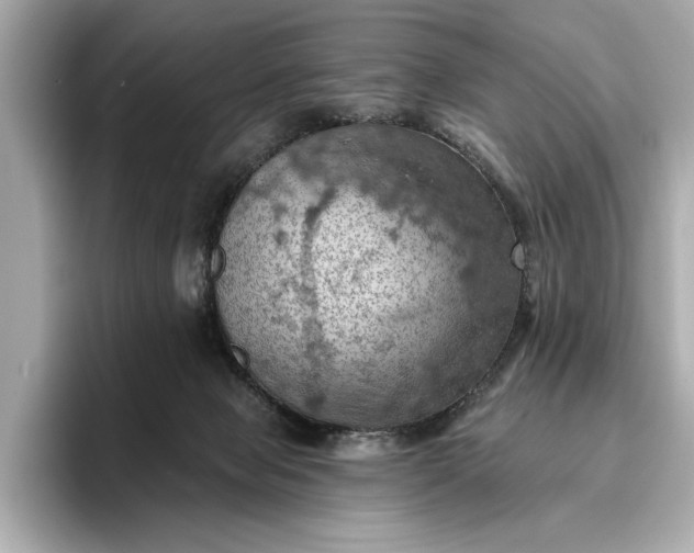 X0000096950077200802221330