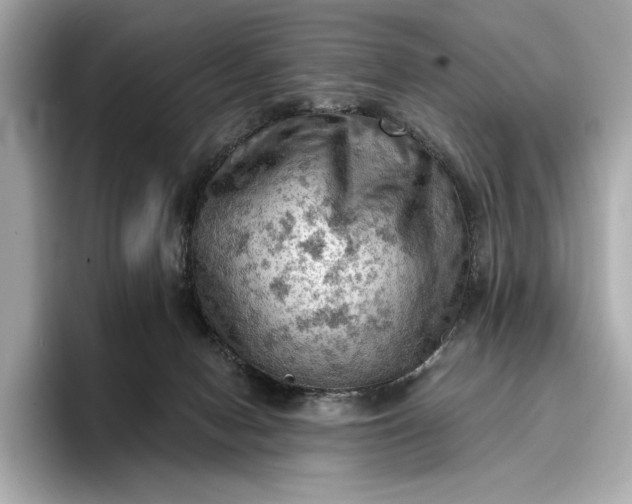 X0000096950078200802221330