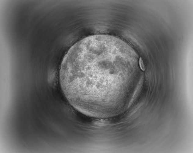 X0000096950079200802221330