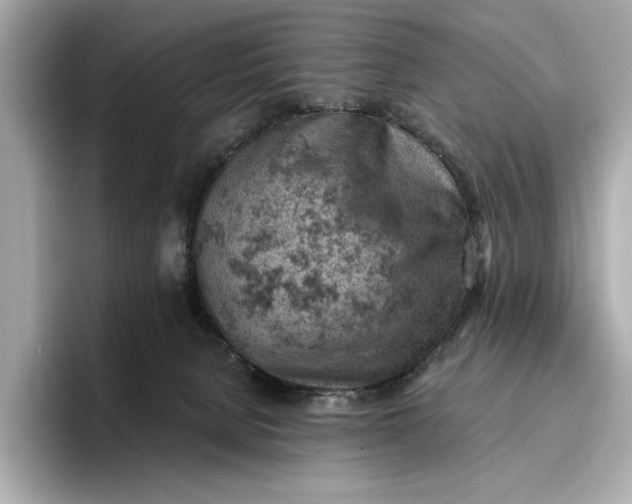 X0000096950080200802221330