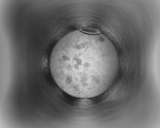 X0000096950087200802221331