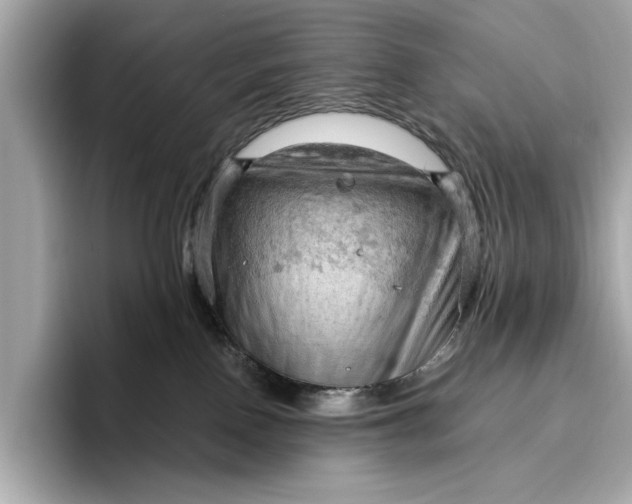 X0000096950090200802221331