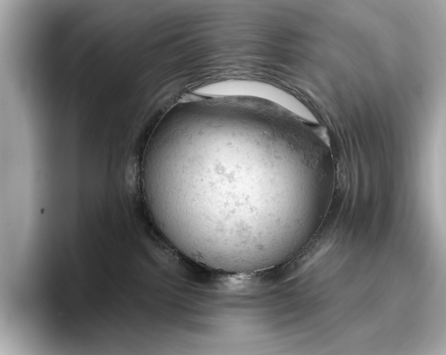 X0000096950092200802221331