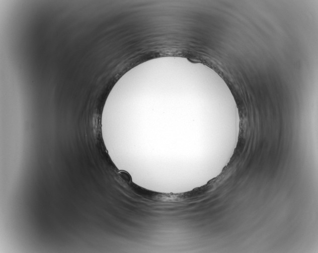 X0000096950093200802221331