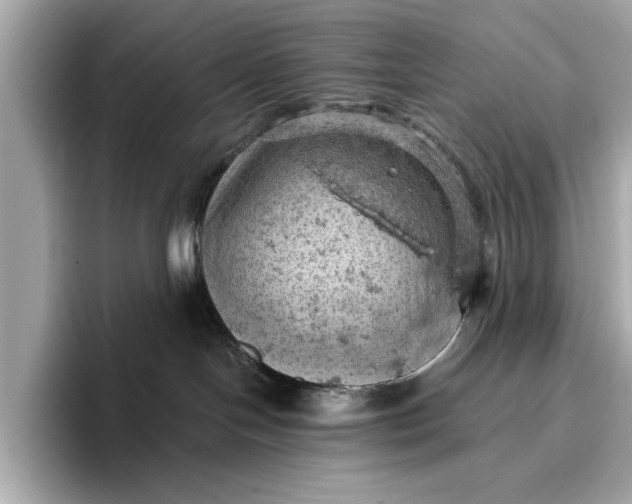 X0000096950094200802221331