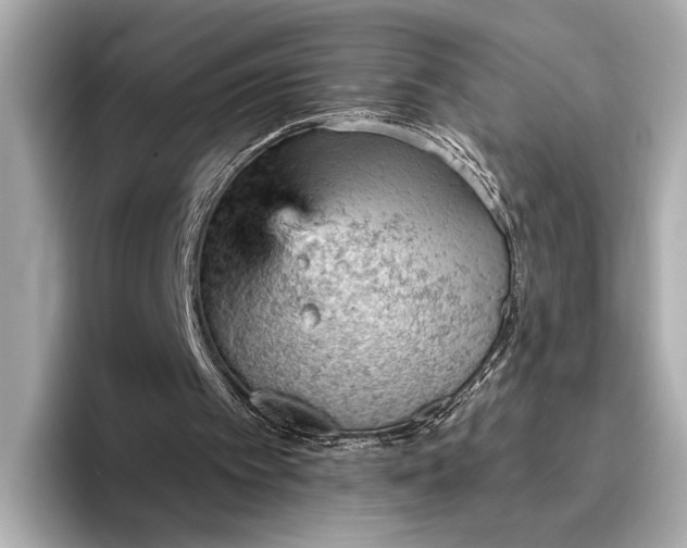 X0000096950097200802221330