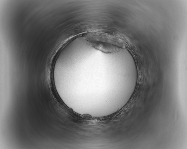 X0000096950098200802221330