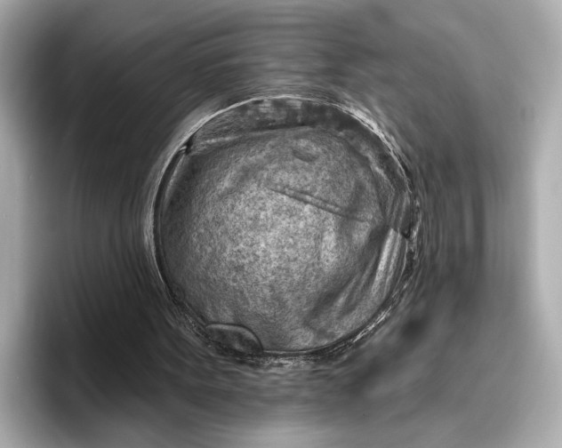 X0000096950099200802221330
