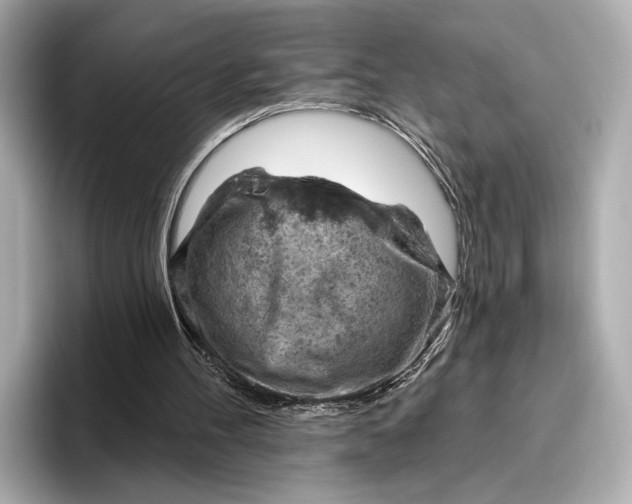 X0000096950100200802221330