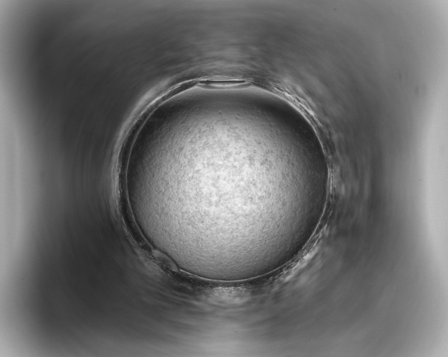 X0000096950101200802221330