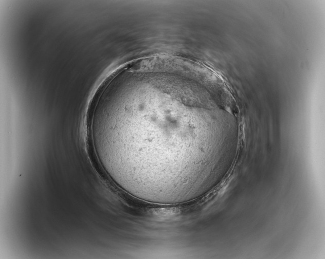 X0000096950102200802221330