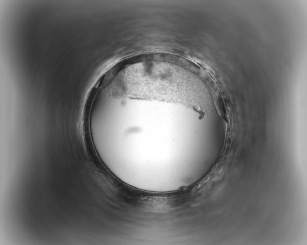 X0000096950104200802221330