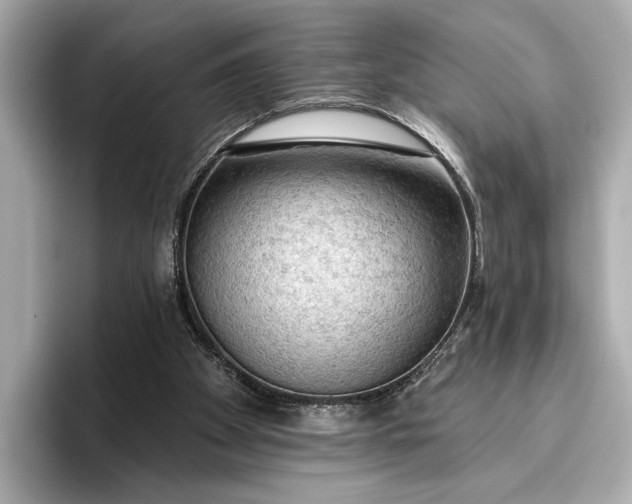 X0000096950105200802221330