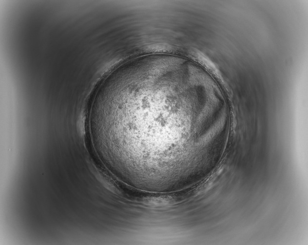 X0000096950106200802221330