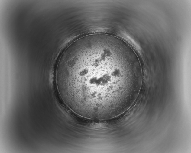 X0000096950107200802221330
