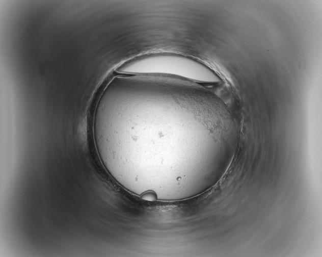 X0000096950108200802221330