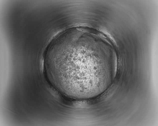 X0000096950110200802221330