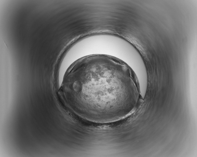 X0000096950112200802221330
