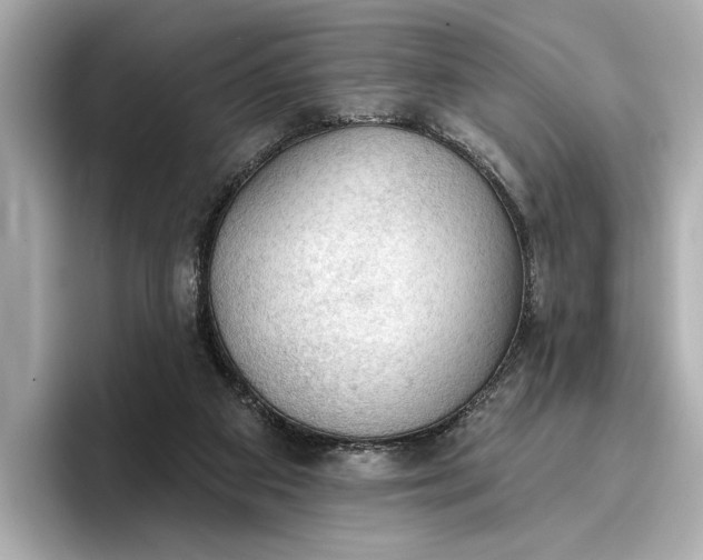 X0000096950113200802221330