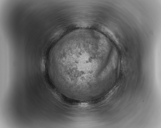 X0000096950114200802221330
