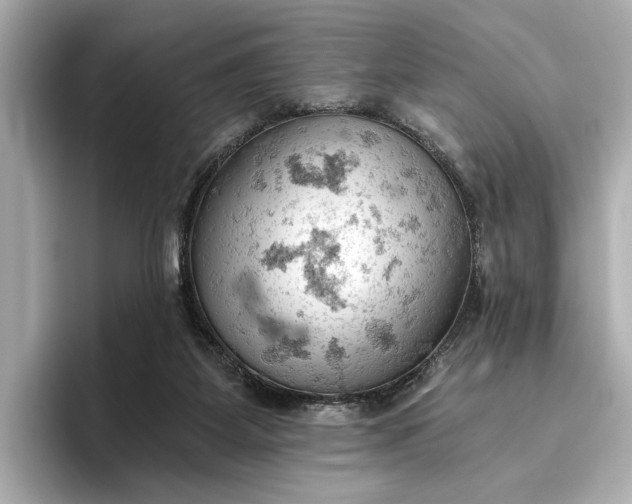 X0000096950115200802221330
