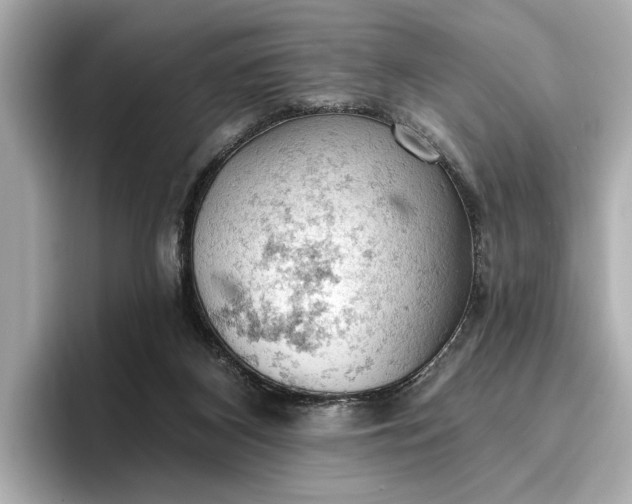X0000096950116200802221330
