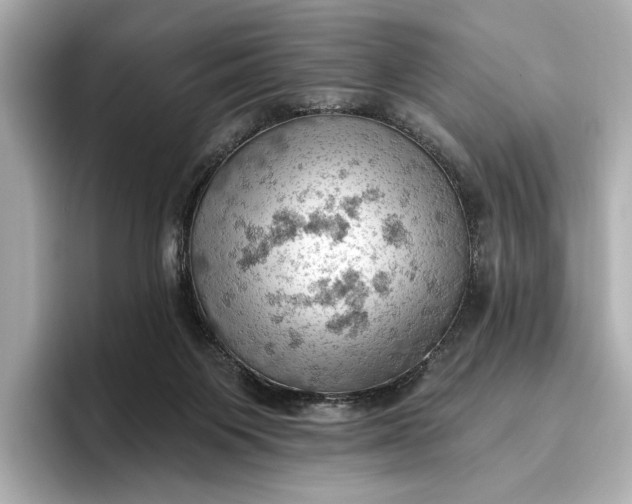 X0000096950119200802221330