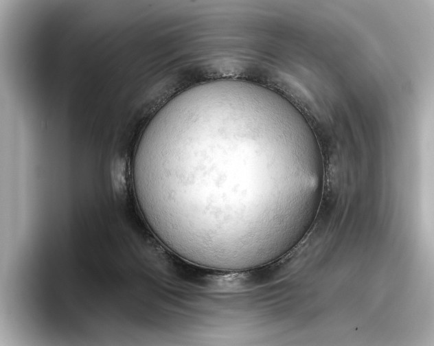 X0000096950122200802221330