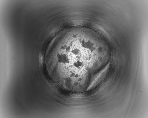 X0000096950123200802221330