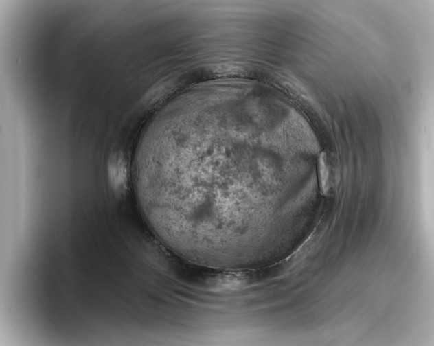 X0000096950124200802221330