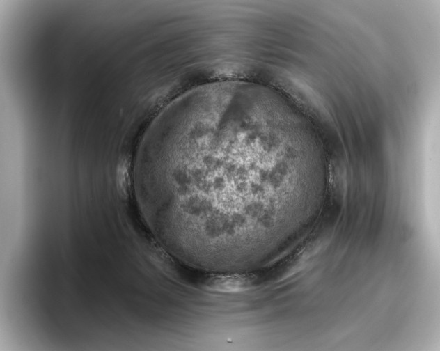 X0000096950127200802221330